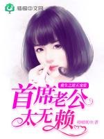 重生之逆天宠爱：首席老公太无赖